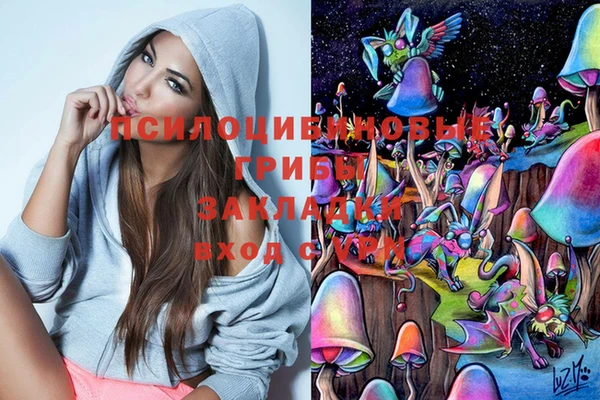 кокс Дмитровск