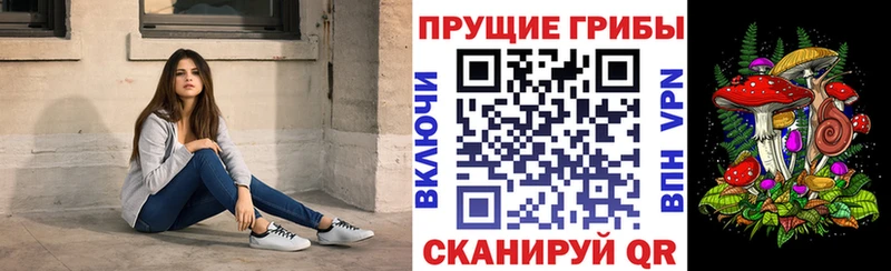 Псилоцибиновые грибы GOLDEN TEACHER Нахабино